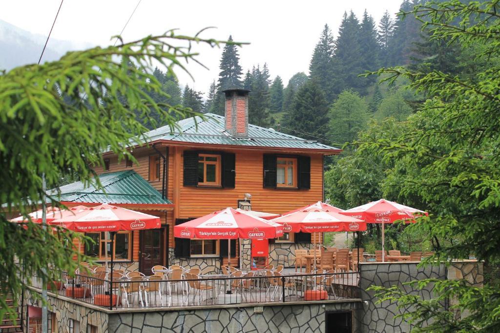 Ayder Avusor Hotel Ayder Yaylasi Exterior foto